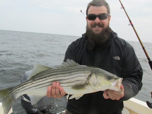 Jim Savarino Jr. w- one of many stripers